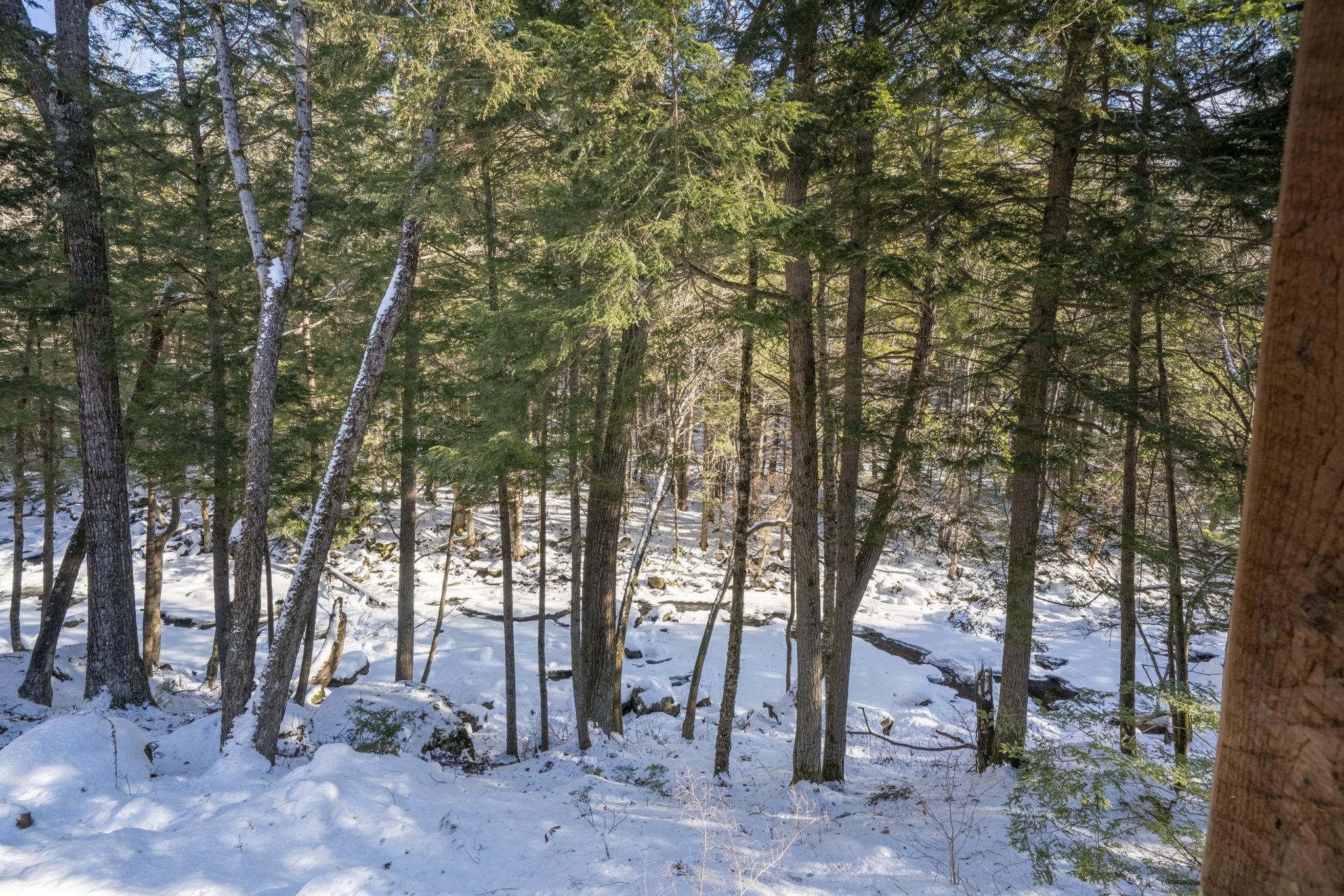 535 Beard Road Hillsborough, NH 03244 - Photo 54 of 60