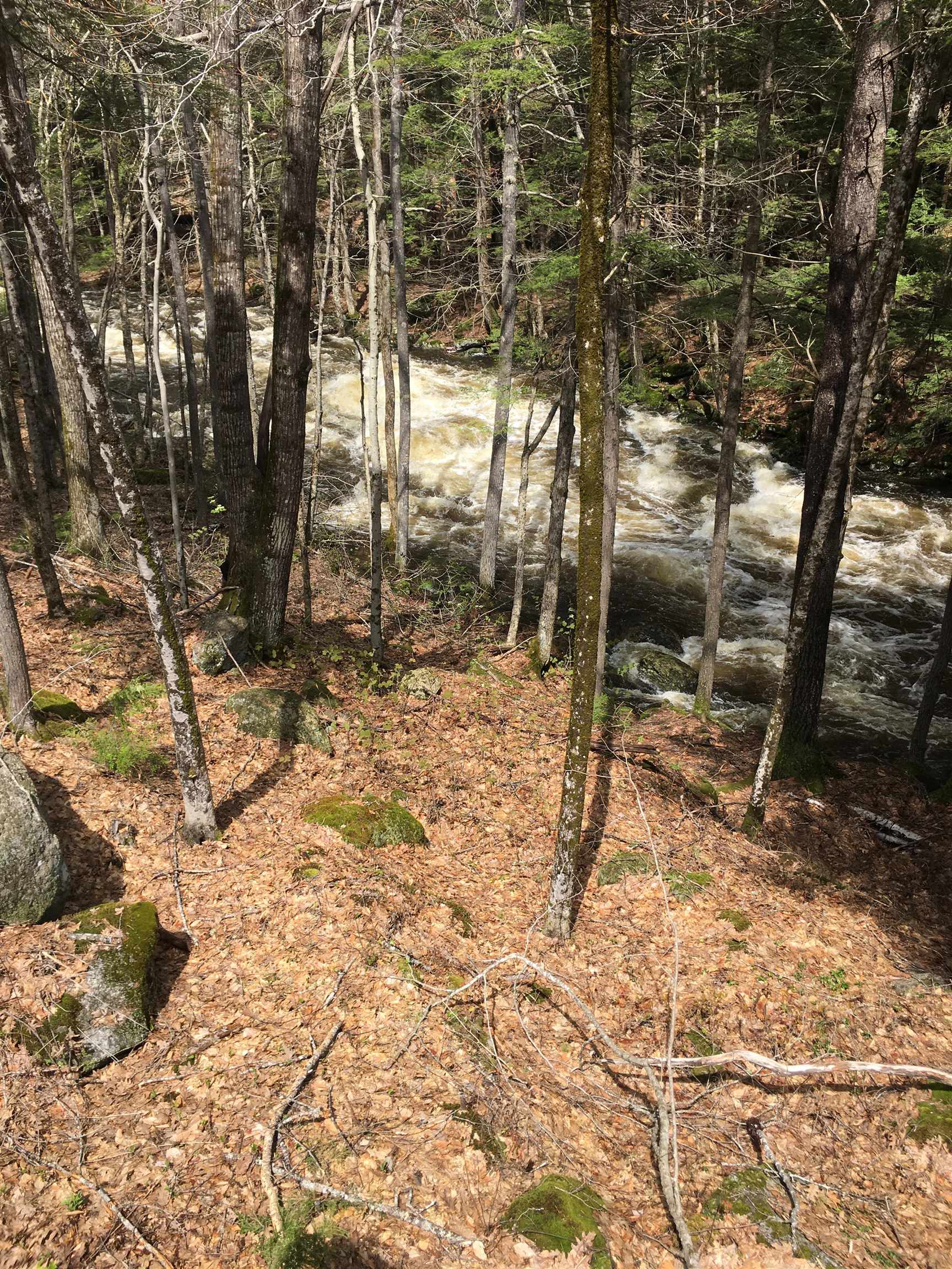 535 Beard Road Hillsborough, NH 03244 - Photo 55 of 60