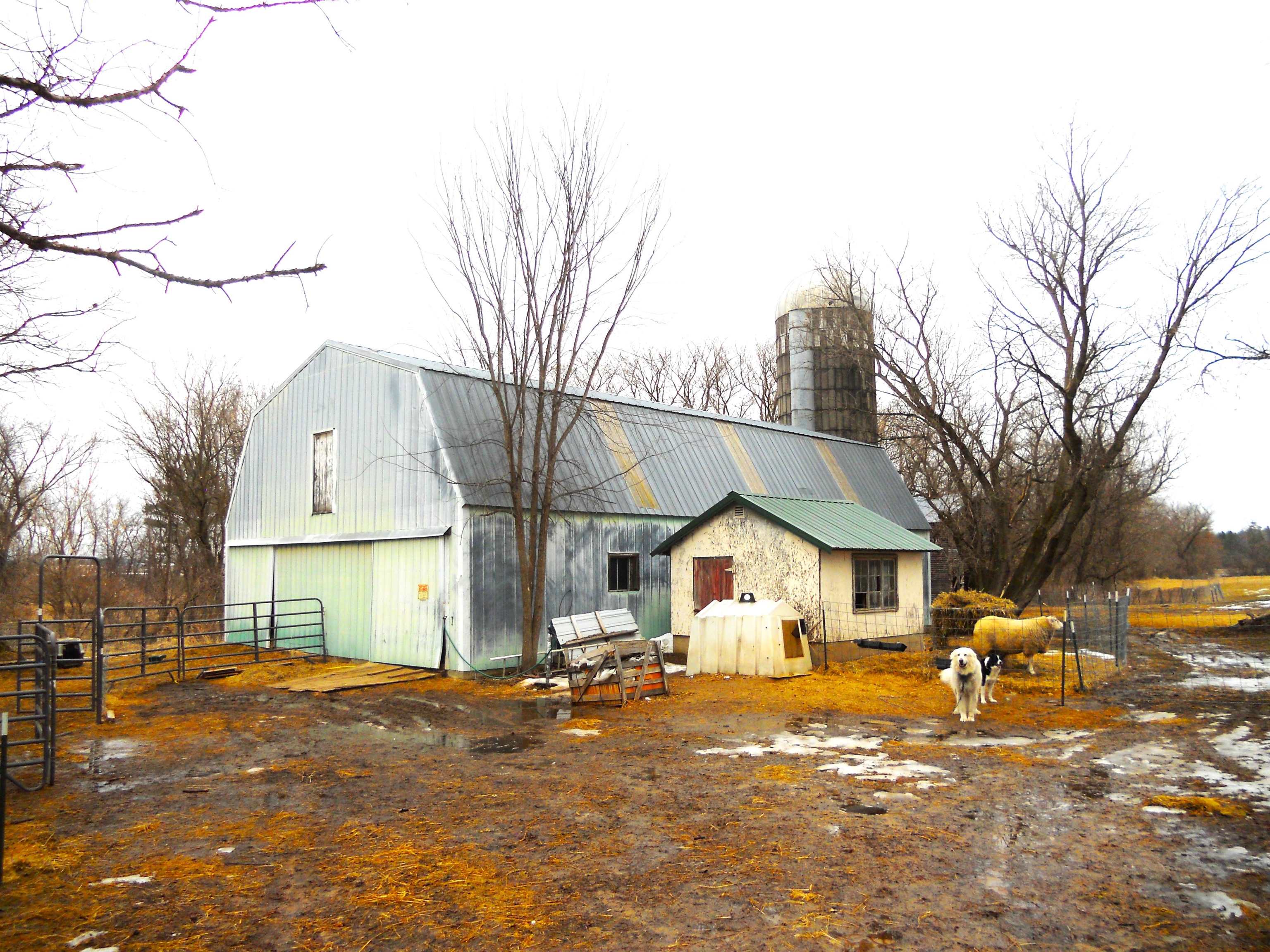 N6758 County Rd H Camp Douglas, WI 54618 - Photo 16 of 28