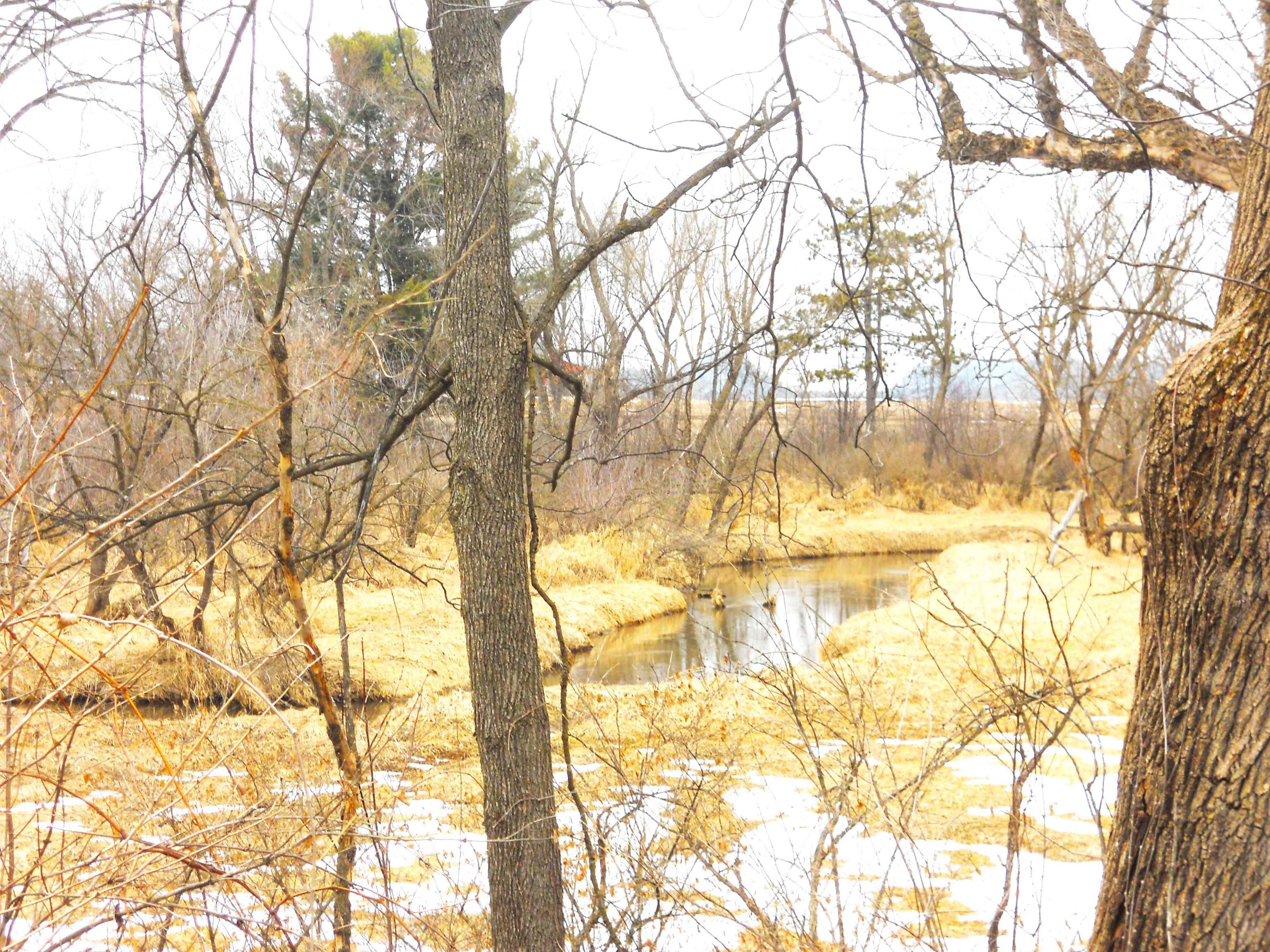 N6758 County Rd H Camp Douglas, WI 54618 - Photo 19 of 28