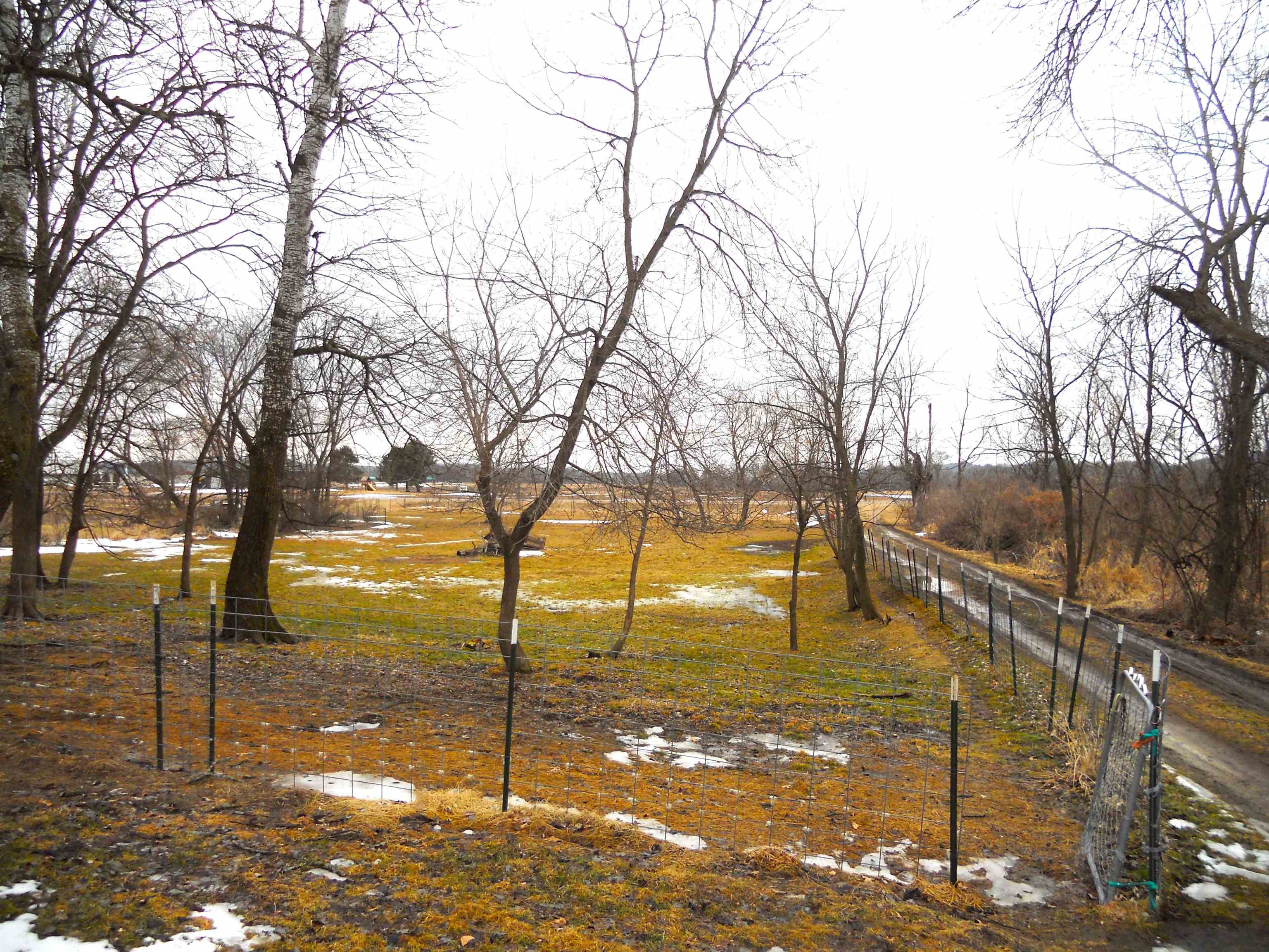 N6758 County Rd H Camp Douglas, WI 54618 - Photo 20 of 28