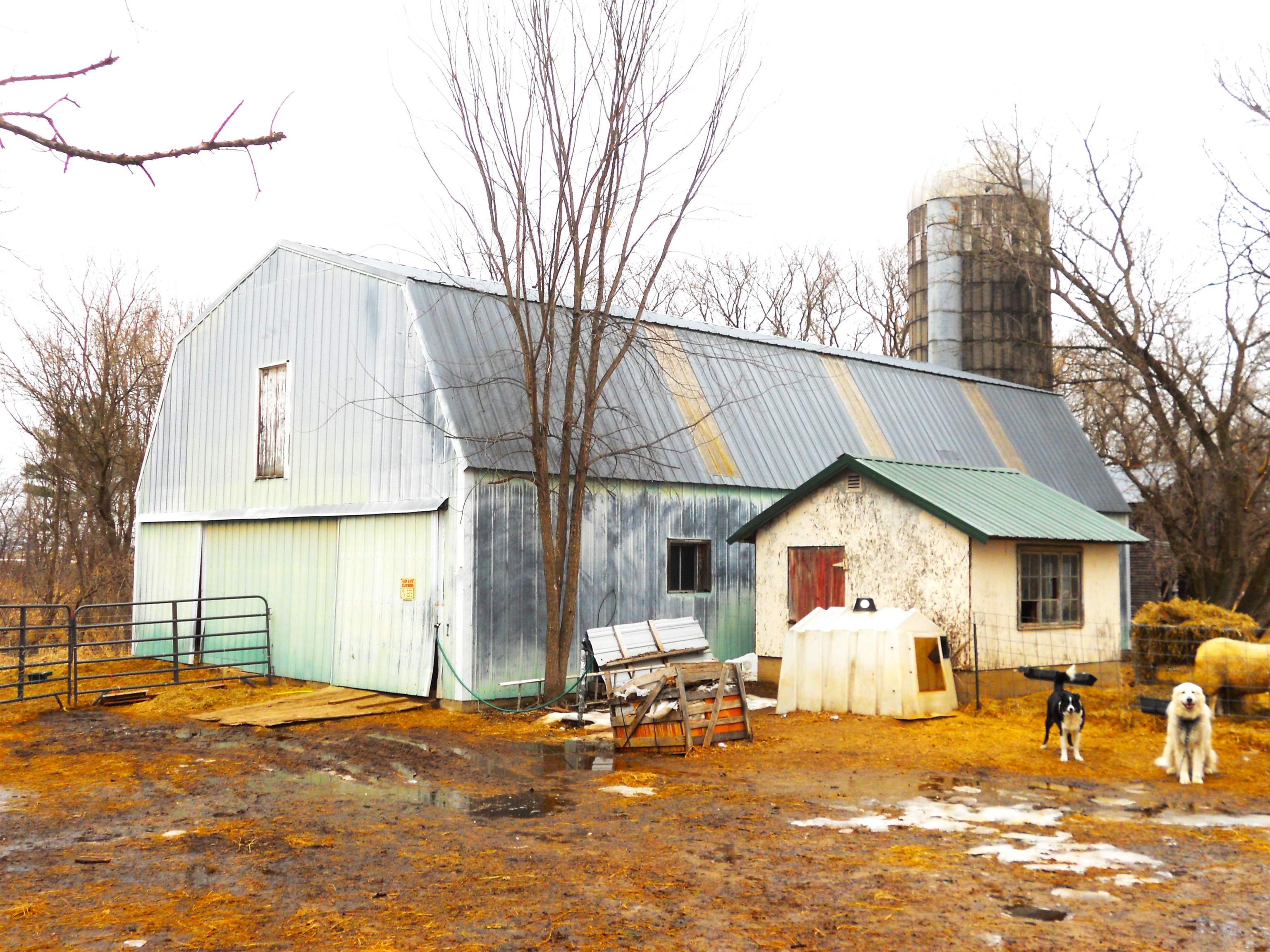 N6758 County Rd H Camp Douglas, WI 54618 - Photo 2 of 28