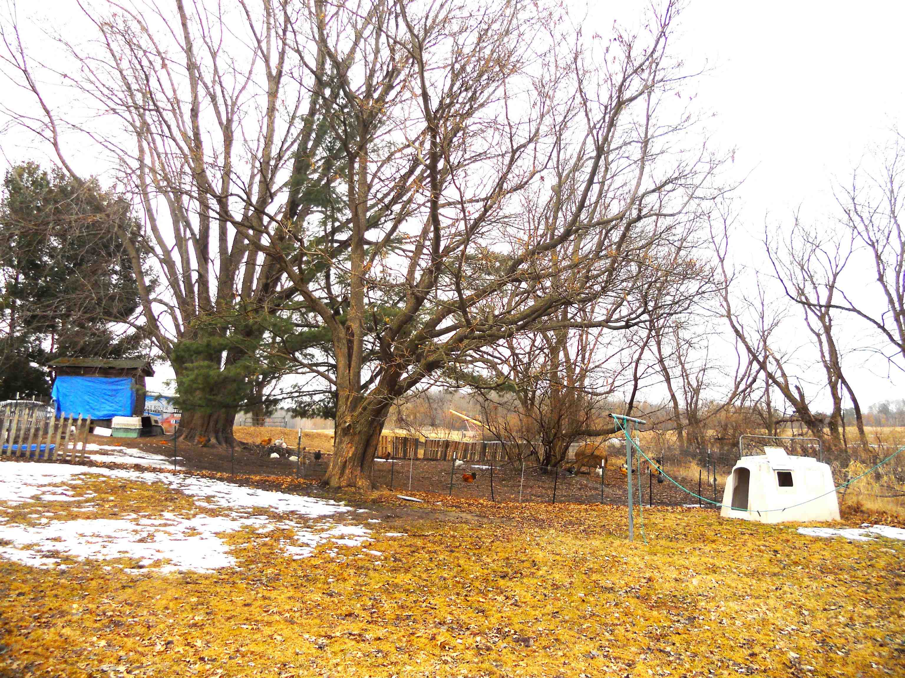 N6758 County Rd H Camp Douglas, WI 54618 - Photo 22 of 28