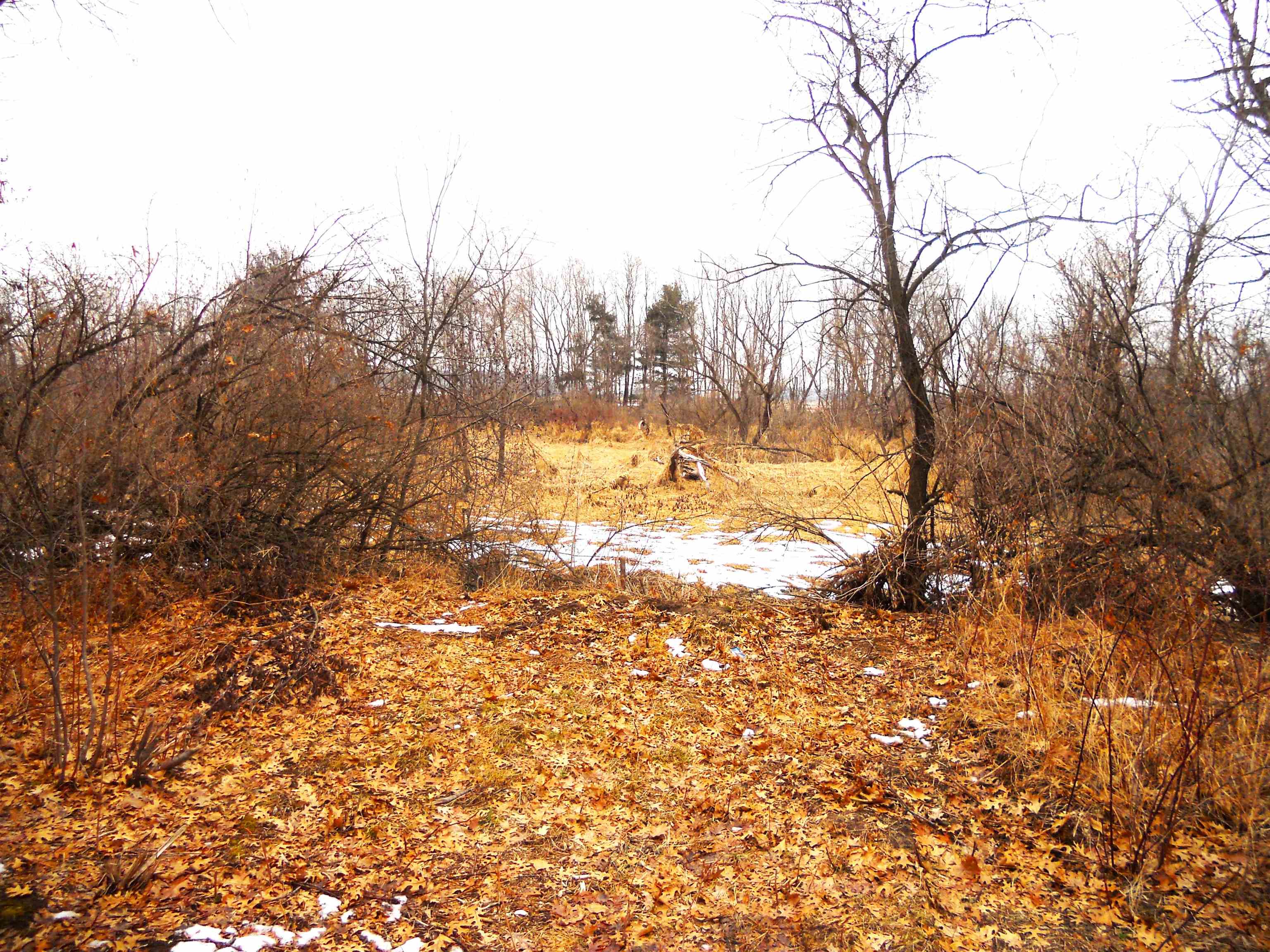 N6758 County Rd H Camp Douglas, WI 54618 - Photo 27 of 28