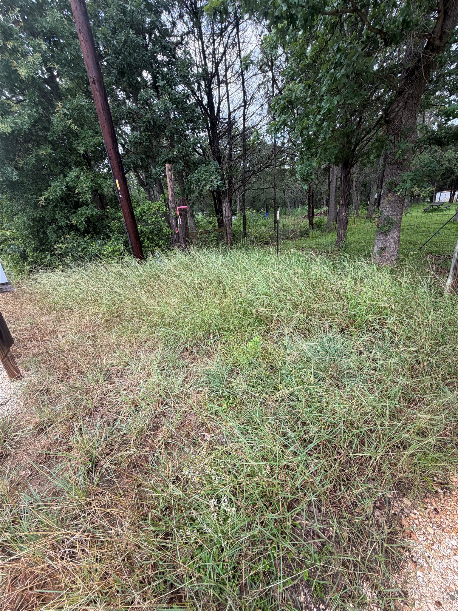 214 The Forest Road Dale, TX 78616 - Photo 12 of 18 A verdant parcel awaits, surrounded by a natural wooded buffer.