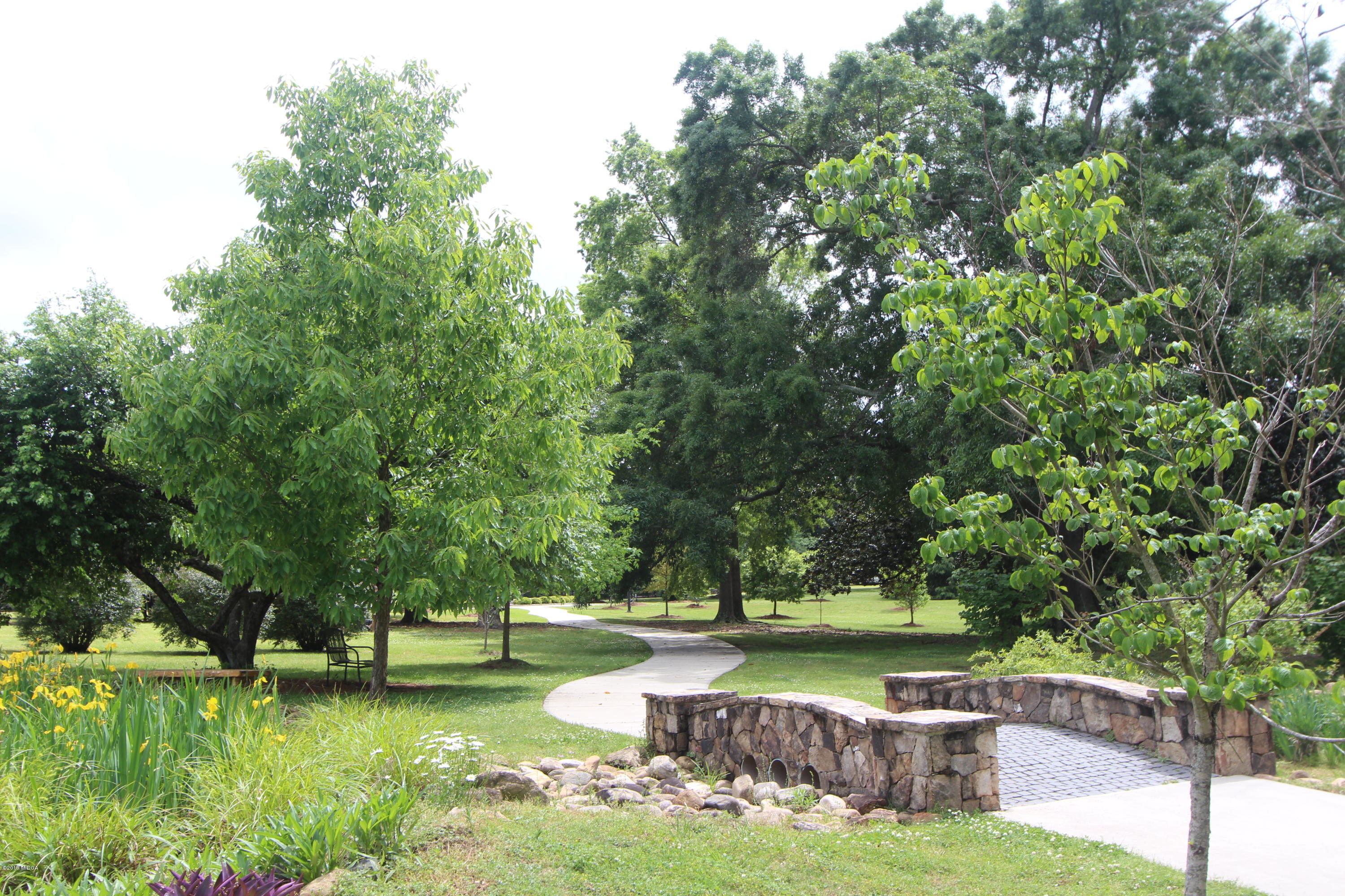 1031 Adams Street Macon, GA 31201 - Photo 31 of 37 31-Bridge_Trees