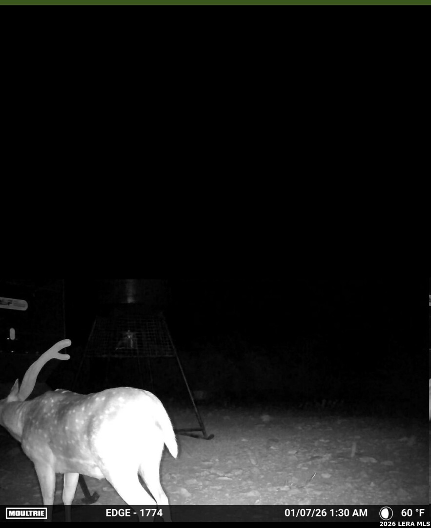 896 Sd 45730 Rocksprings, TX 78880 - Photo 11 of 29