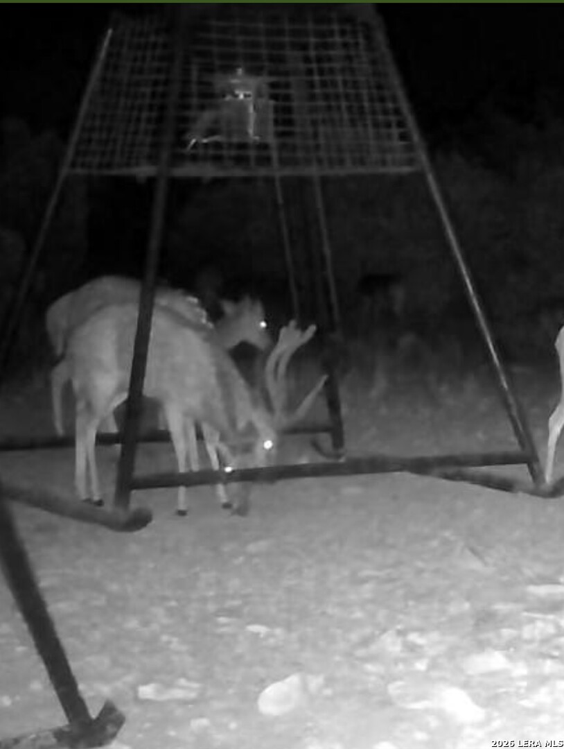 896 Sd 45730 Rocksprings, TX 78880 - Photo 12 of 29