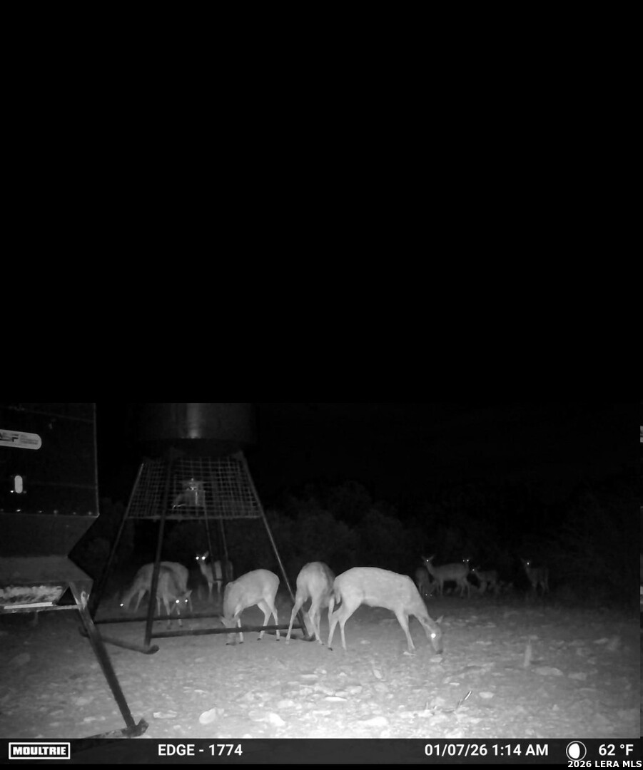 896 Sd 45730 Rocksprings, TX 78880 - Photo 14 of 29