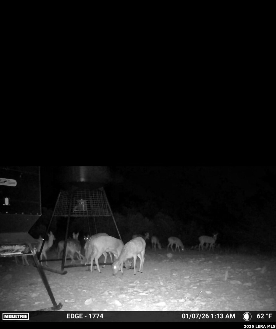 896 Sd 45730 Rocksprings, TX 78880 - Photo 15 of 29