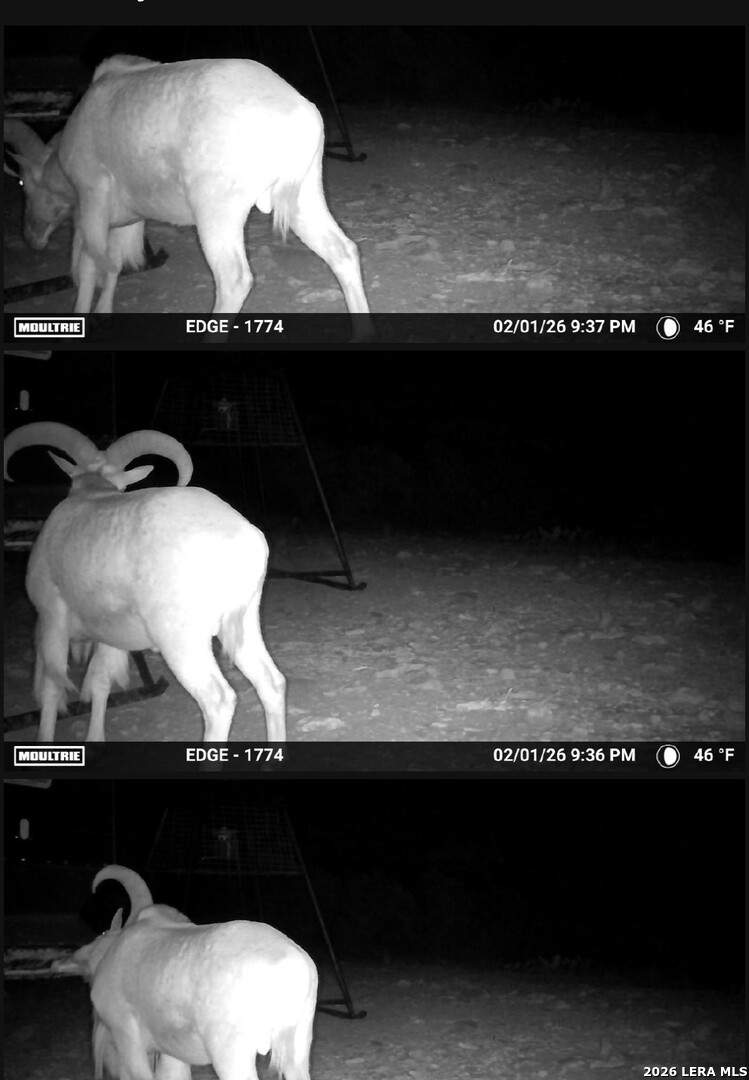 896 Sd 45730 Rocksprings, TX 78880 - Photo 16 of 29