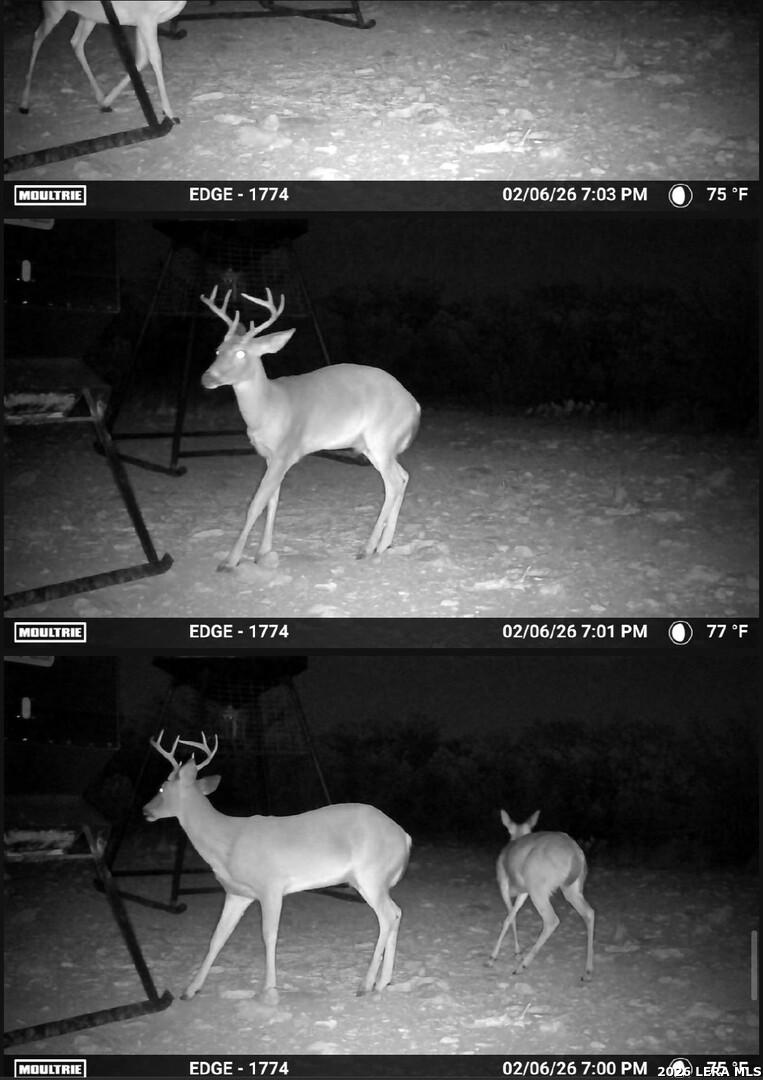 896 Sd 45730 Rocksprings, TX 78880 - Photo 17 of 29