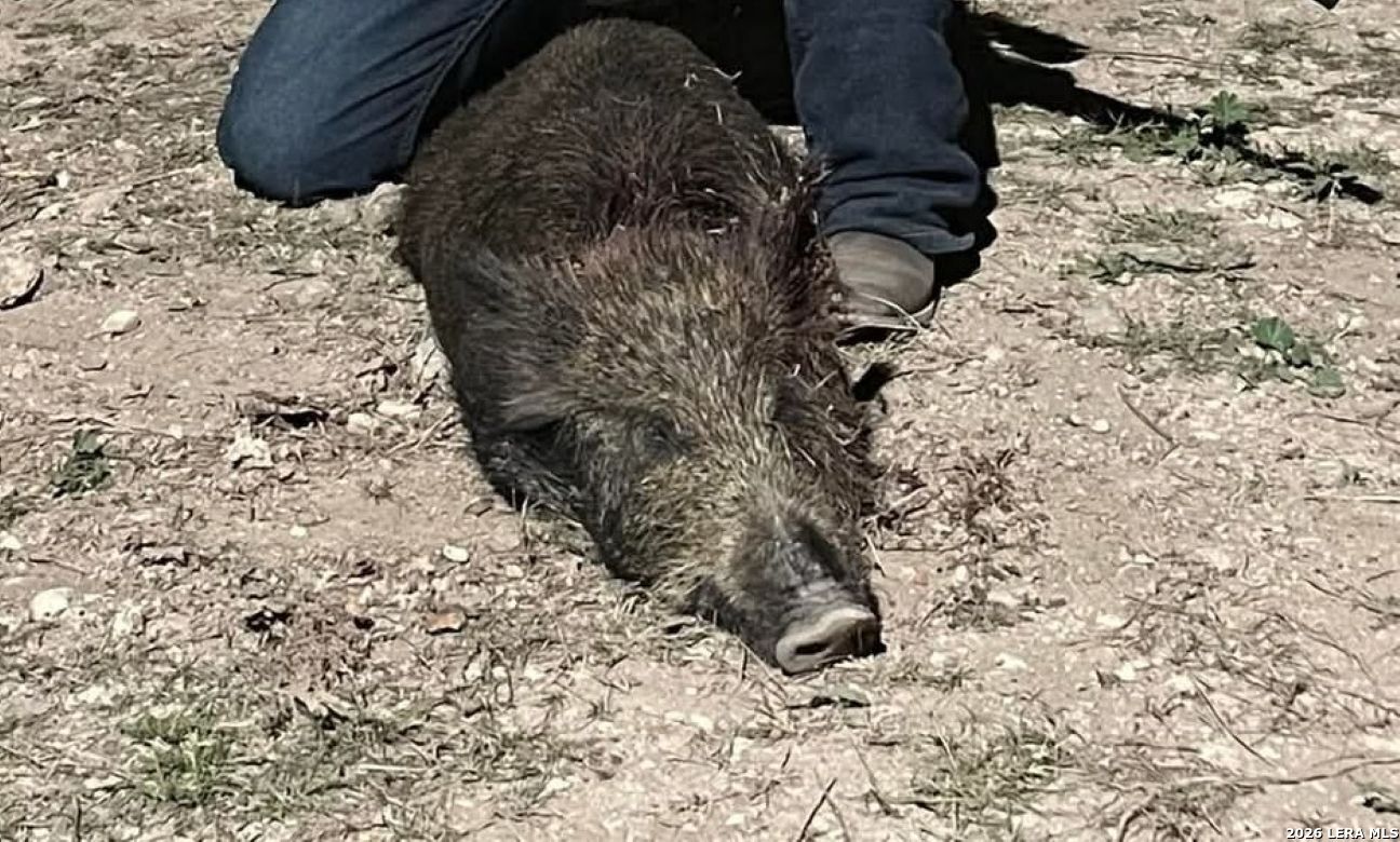 896 Sd 45730 Rocksprings, TX 78880 - Photo 18 of 29