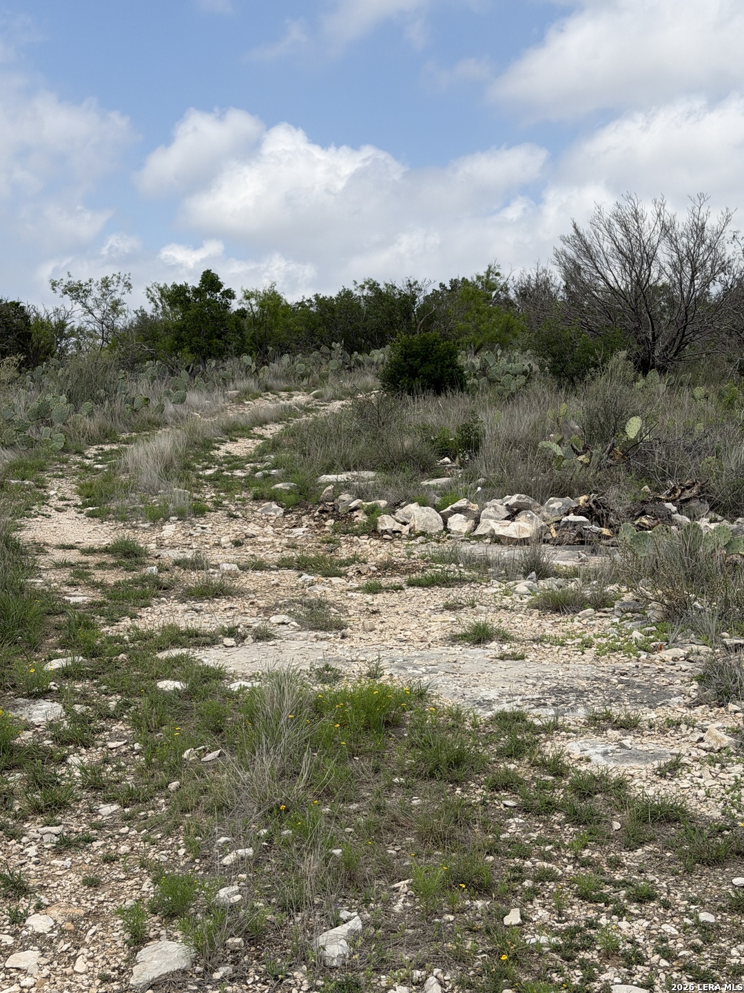 896 Sd 45730 Rocksprings, TX 78880 - Photo 21 of 29