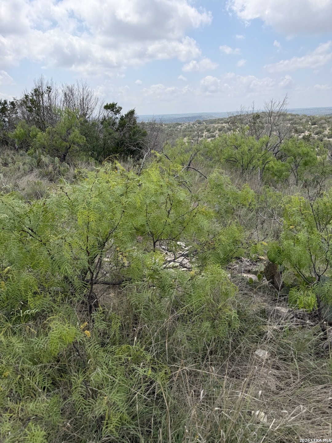 896 Sd 45730 Rocksprings, TX 78880 - Photo 23 of 29