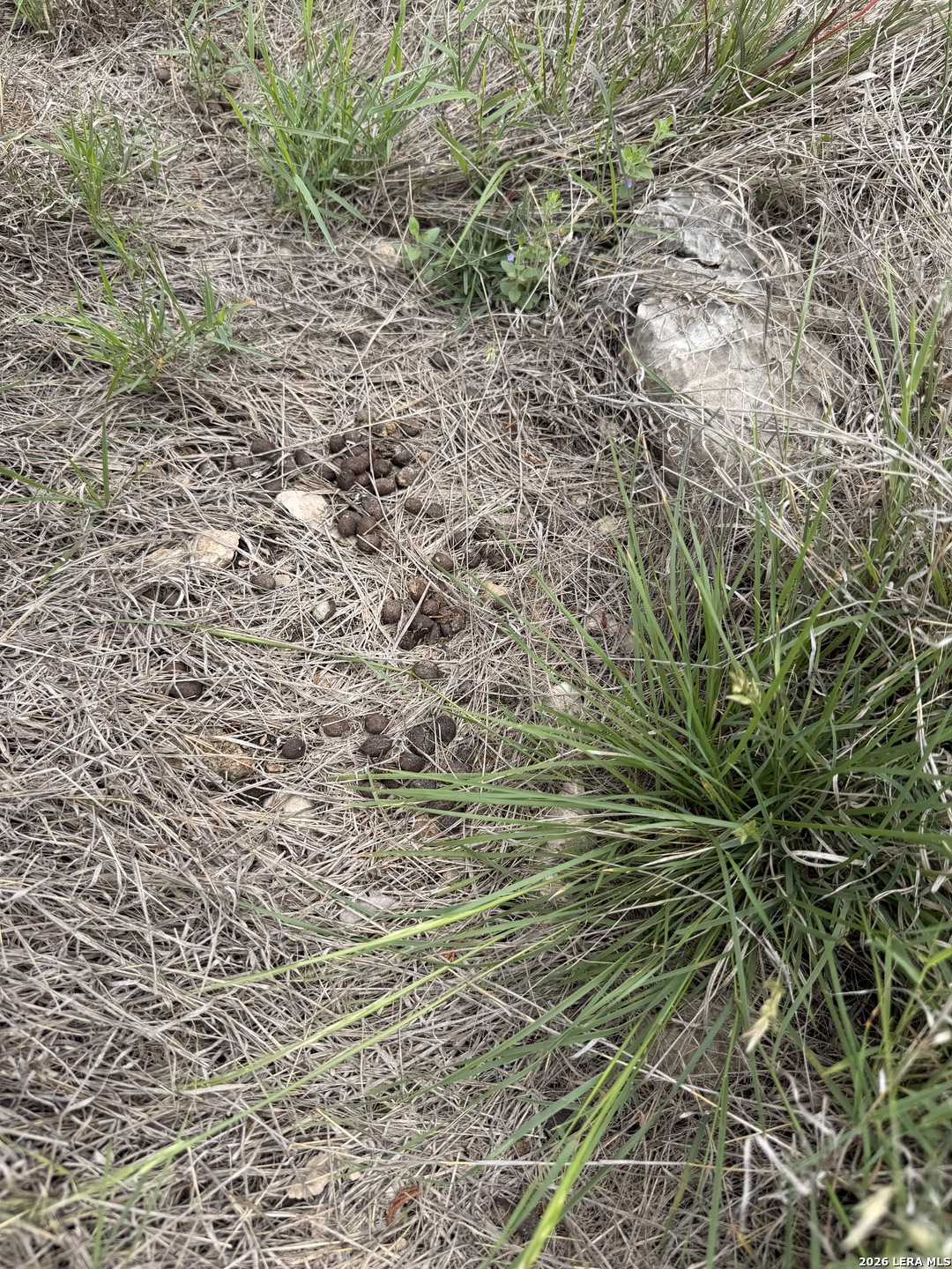 896 Sd 45730 Rocksprings, TX 78880 - Photo 25 of 29