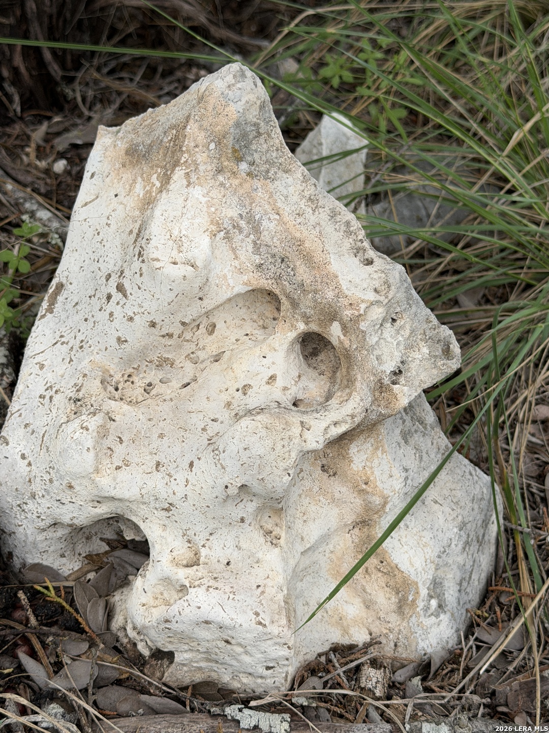 896 Sd 45730 Rocksprings, TX 78880 - Photo 27 of 29