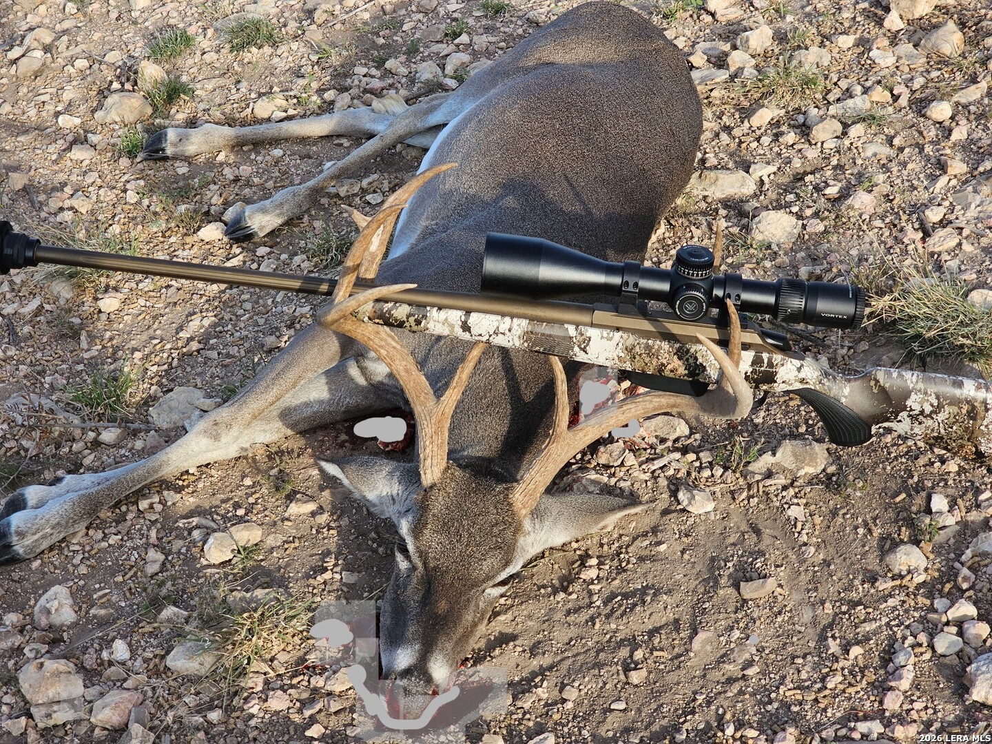 896 Sd 45730 Rocksprings, TX 78880 - Photo 8 of 29