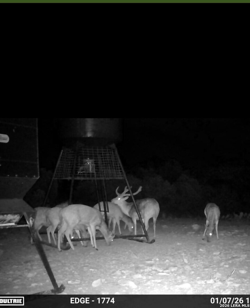 896 Sd 45730 Rocksprings, TX 78880 - Photo 10 of 29