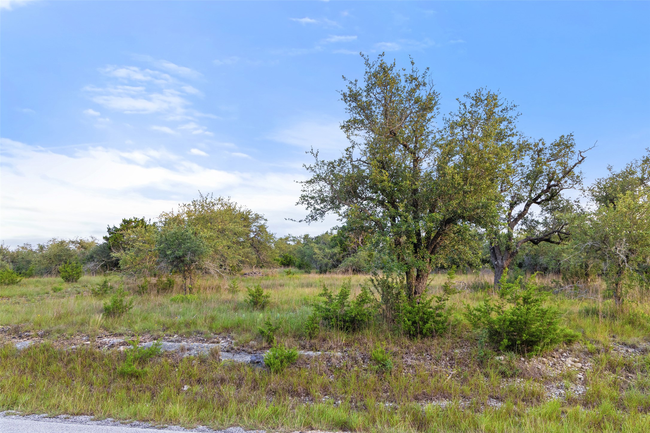 32000 Mirela Ann Road Dripping Springs, TX 78620 - Photo 7 of 12