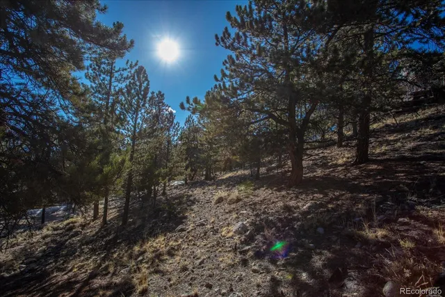 $125,000 | 123 La Plata Peak Drive, Twin Lakes, CO 81251