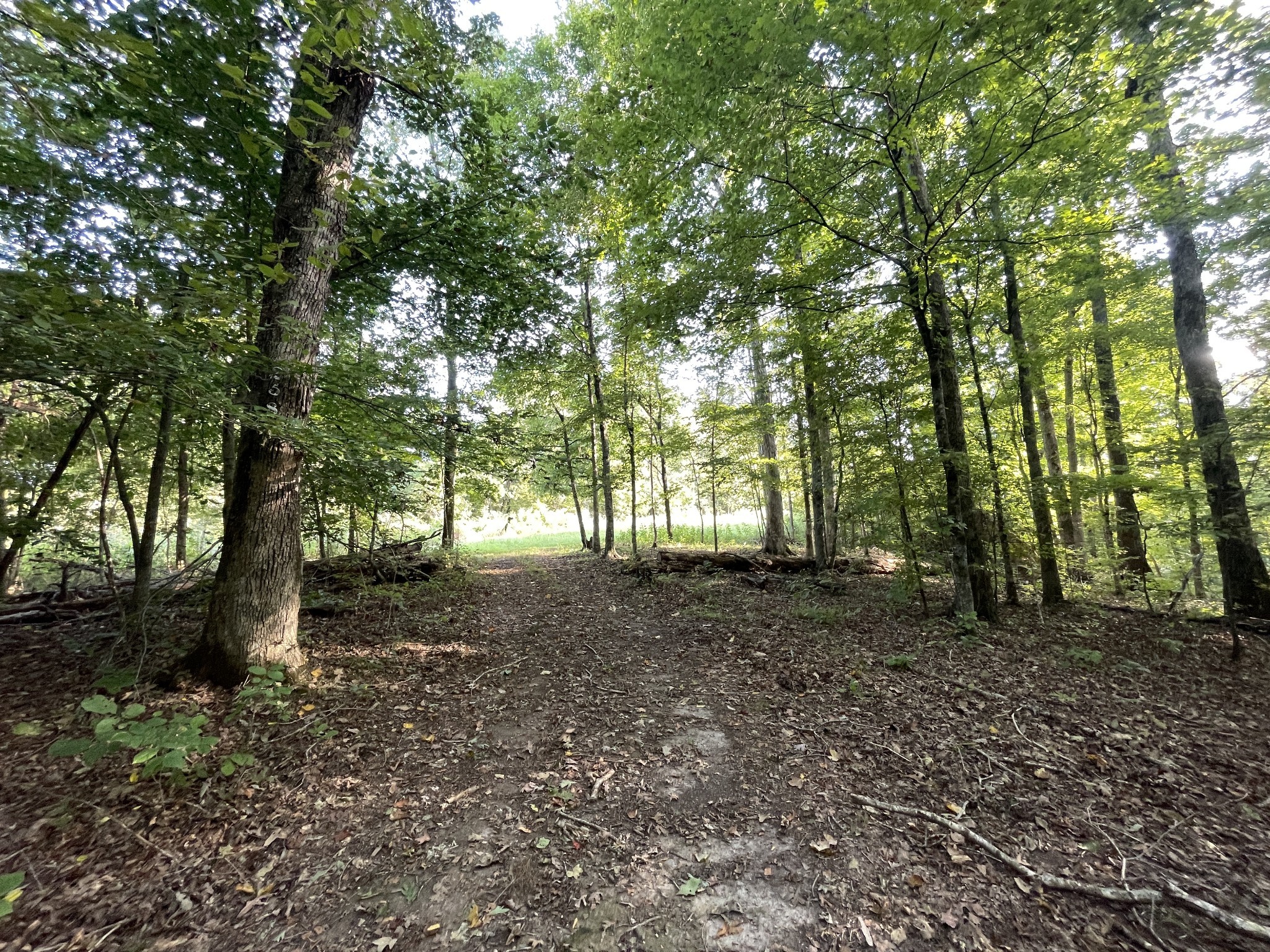 0 Waters Road Centerville, TN 37033 - Photo 12 of 17 a backyard of a house with lots of green space