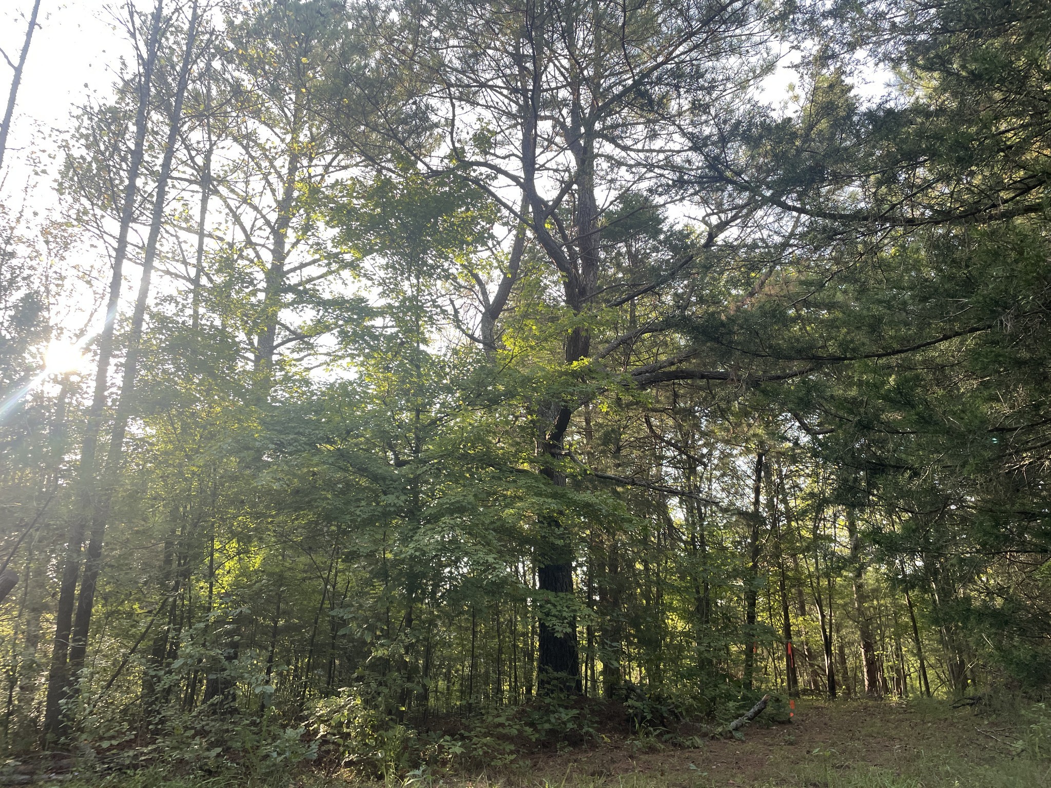 0 Waters Road Centerville, TN 37033 - Photo 17 of 17