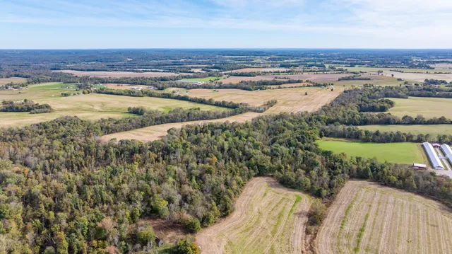 a view of an ocean and beach