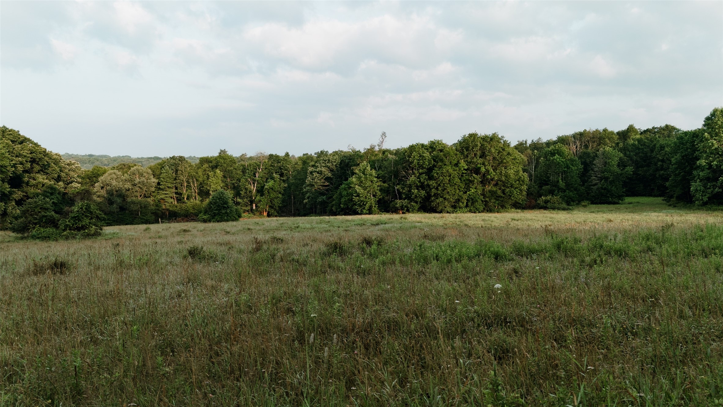 Mccaully Hill Road Tidioute, PA 16351 - Photo 25 of 26 Gallery Image 25