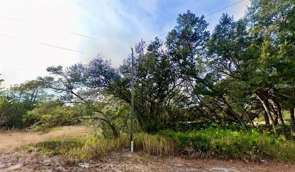 $17,500 | 175 Fisher Ln Court, Ocklawaha, FL 32179