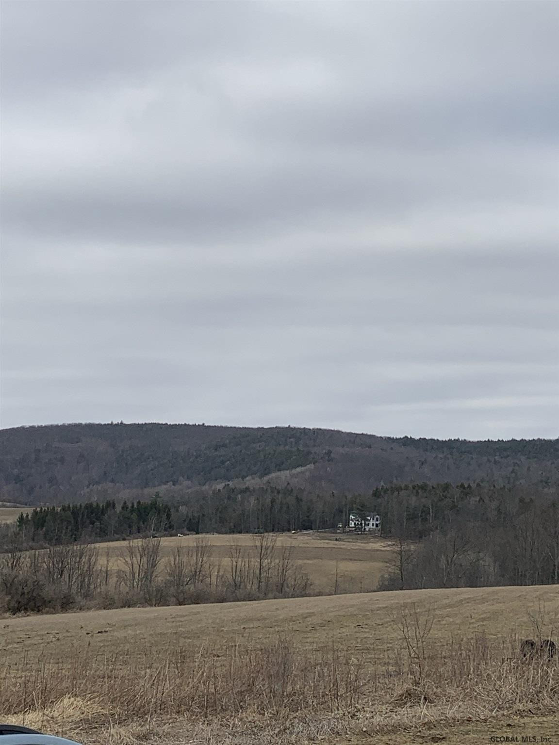 176 Hill Road Seward, NY 12043 - Photo 8 of 59 Photo 8