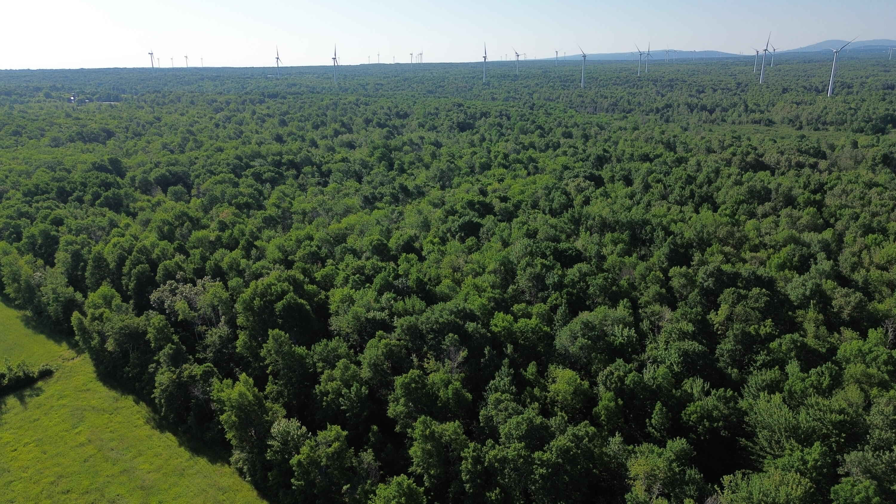 . Lost Nation Road Churubusco, NY 12923 - Photo 24 of 34 DJI_0477