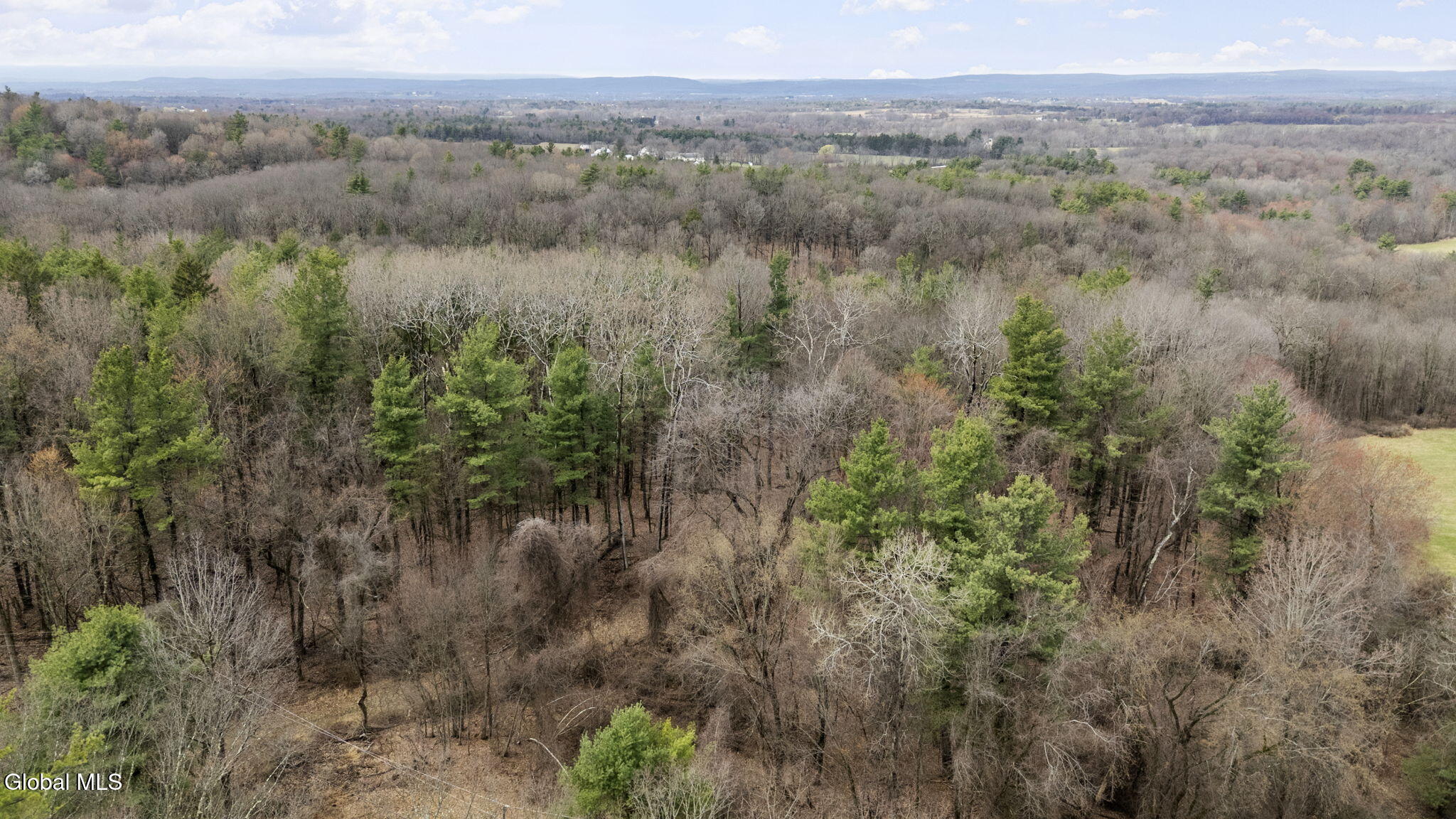 562 Fischer Road Kinderhook, NY 12106 - Photo 43 of 50 10-web-or-mls-562-fischer-rd