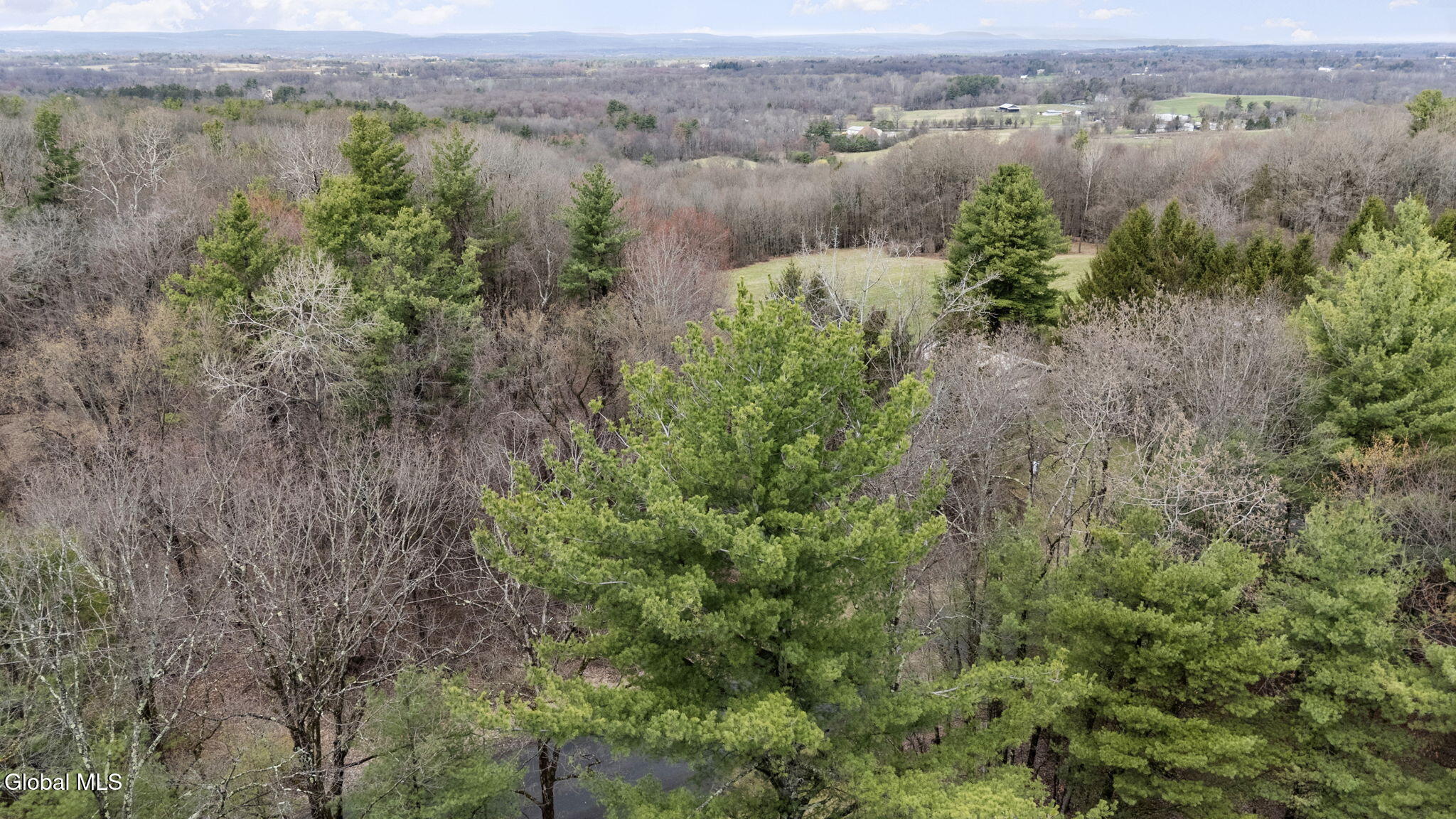 562 Fischer Road Kinderhook, NY 12106 - Photo 44 of 50 6-web-or-mls-562-fischer-rd