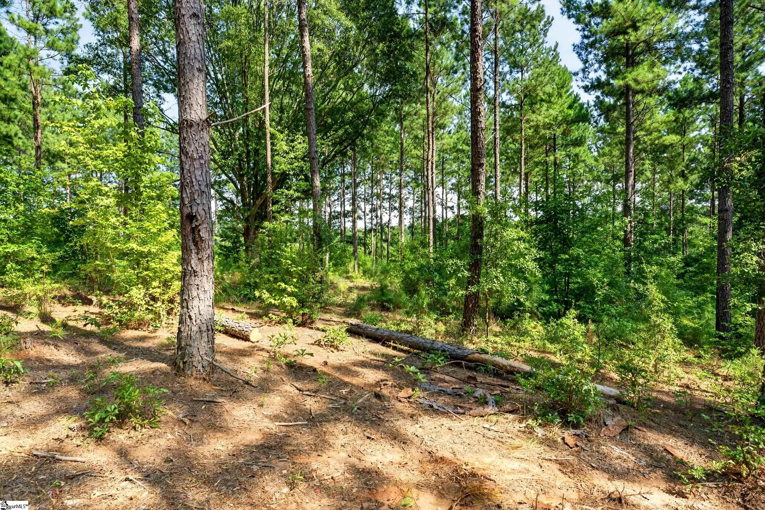 0 Todd Road Honea Path, SC 29654 - Photo 16 of 26 Gallery Image 16