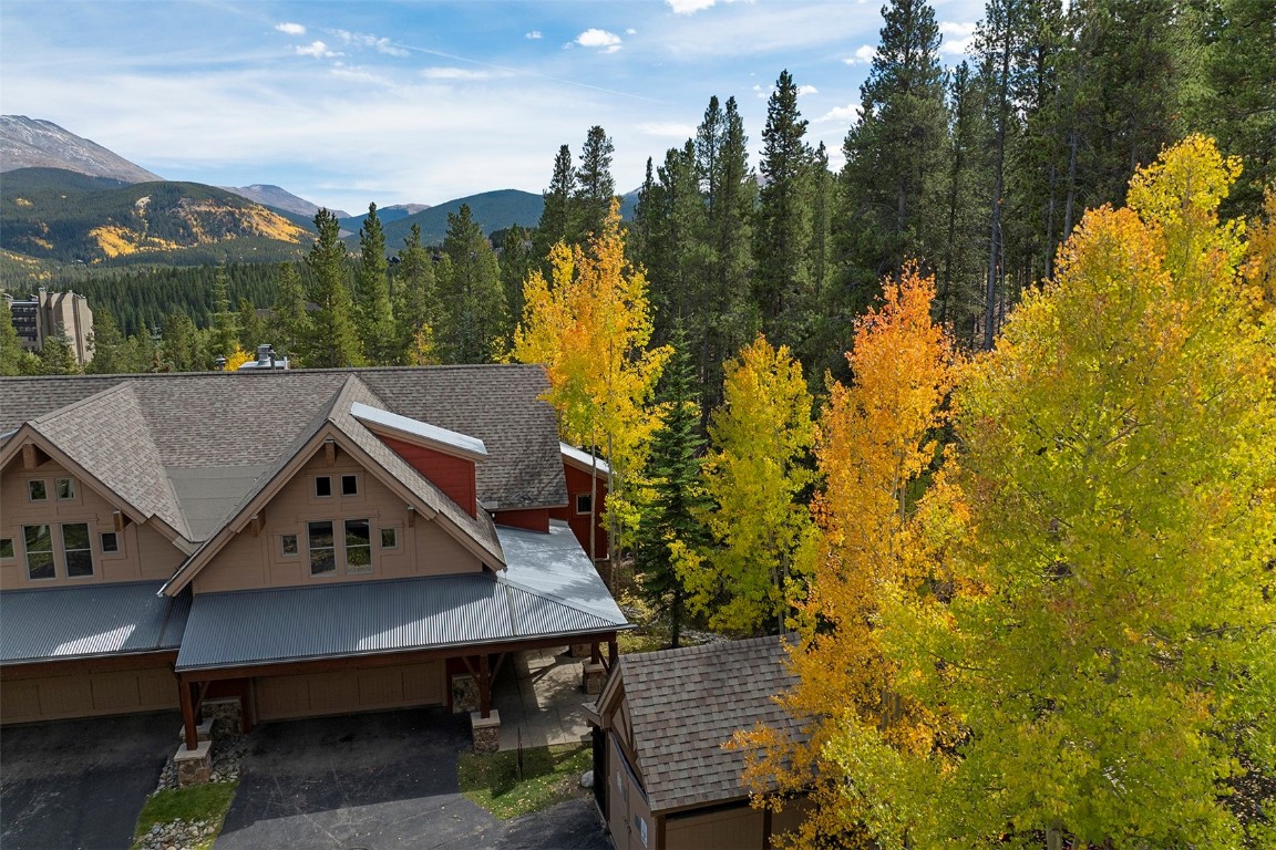 55 Westridge Road, Unit 55 Breckenridge, CO 80424 - Photo 42 of 42 a view of a patio in backyard
