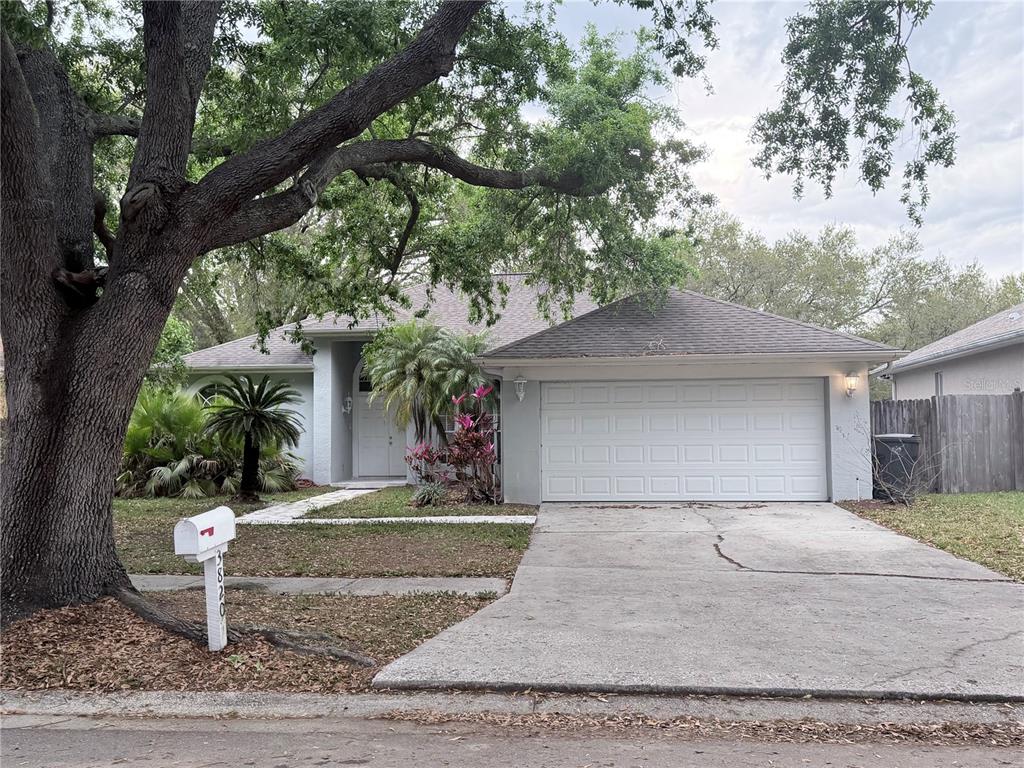3820 Cypress Meadows Road Tampa, FL 33624 - Photo 1 of 1