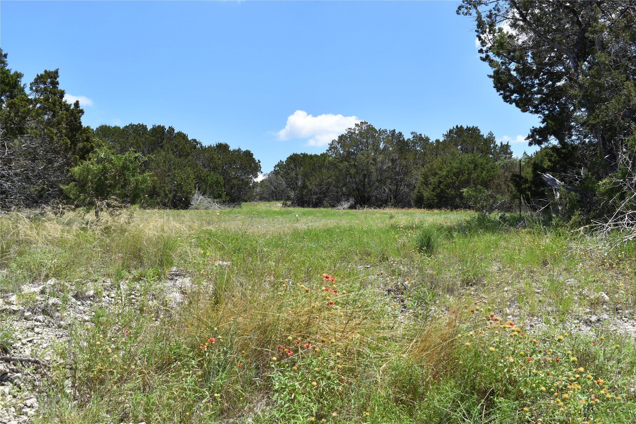 122 Reserve Way Lampasas, TX 76550 - Photo 11 of 15