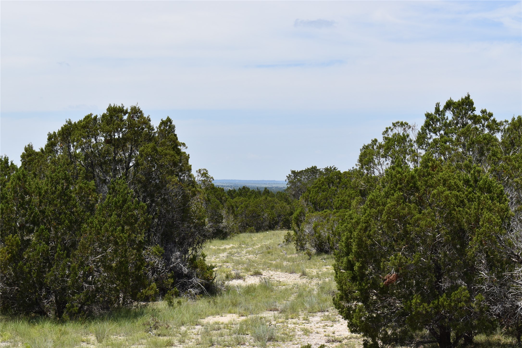 122 Reserve Way Lampasas, TX 76550 - Photo 3 of 15