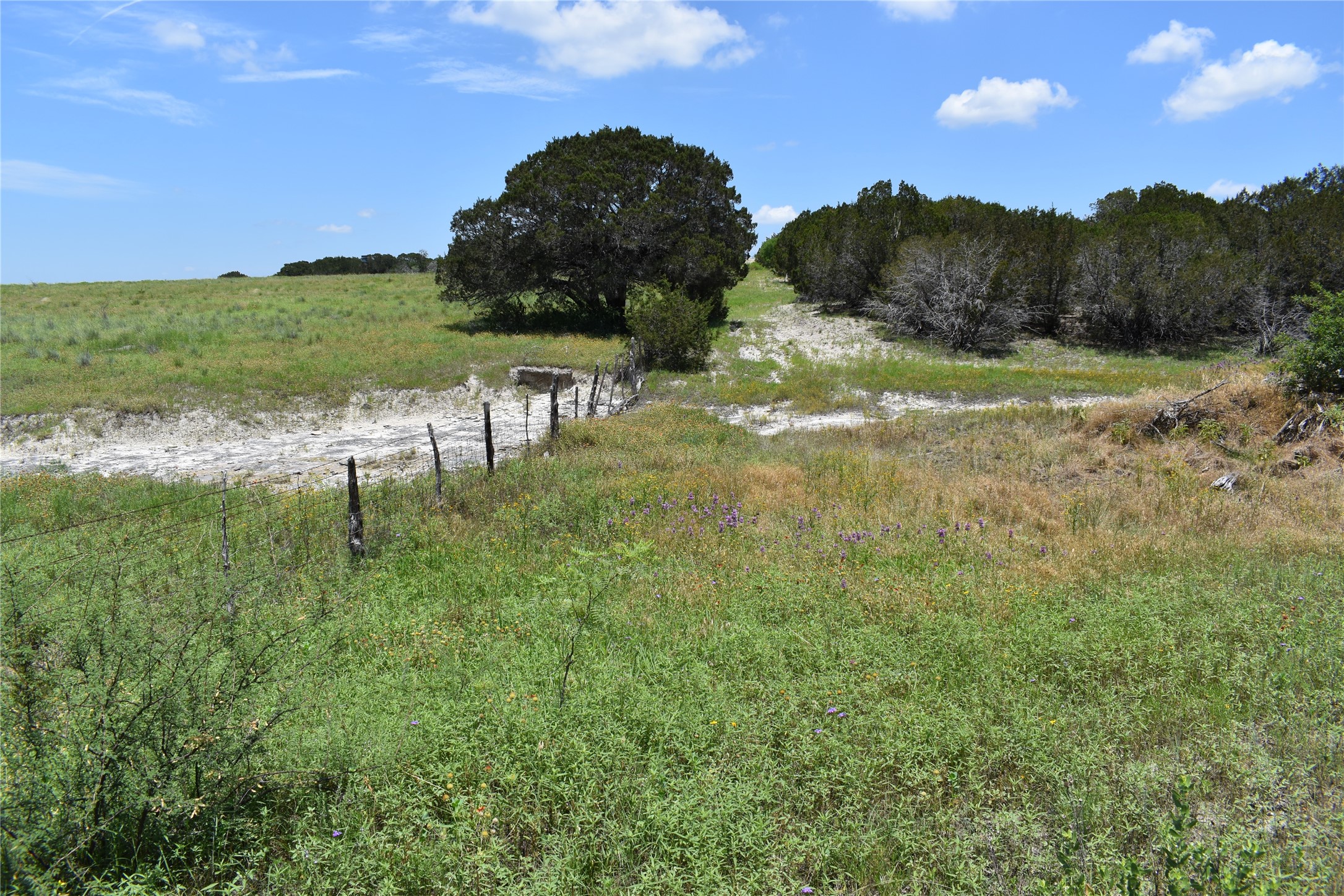 122 Reserve Way Lampasas, TX 76550 - Photo 5 of 15