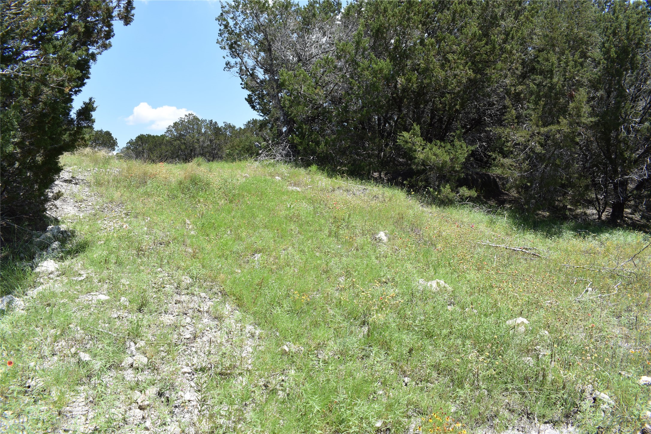 122 Reserve Way Lampasas, TX 76550 - Photo 10 of 15