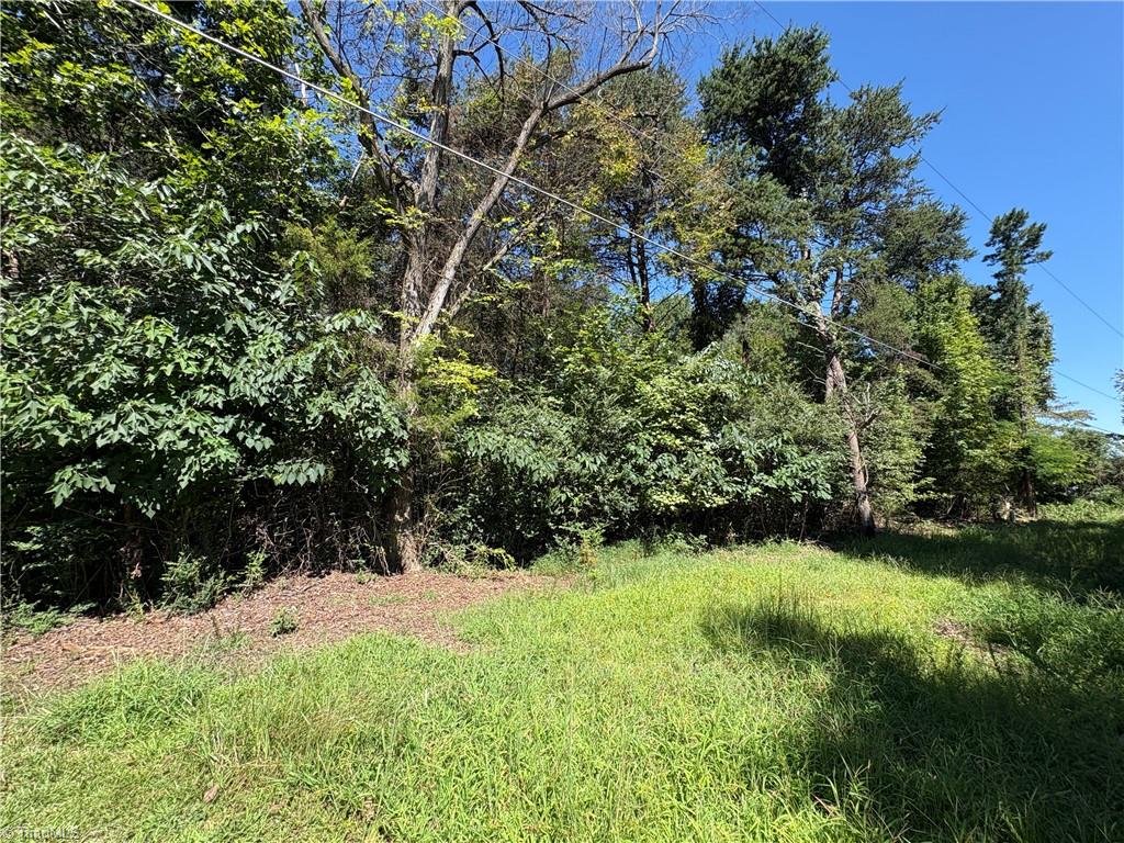 1193 Pleasant Ridge Road Colfax, NC 27235 - Photo 11 of 35