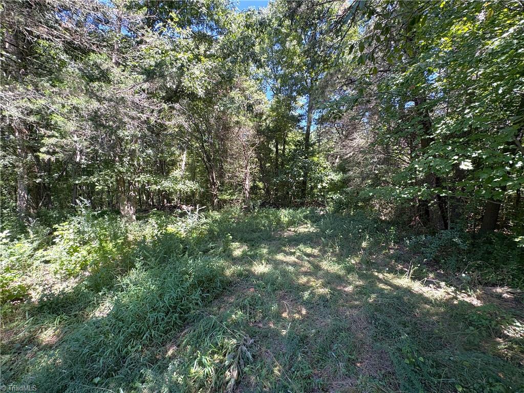 1193 Pleasant Ridge Road Colfax, NC 27235 - Photo 13 of 35