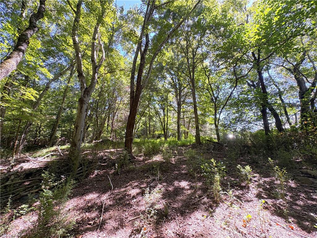 1193 Pleasant Ridge Road Colfax, NC 27235 - Photo 14 of 35