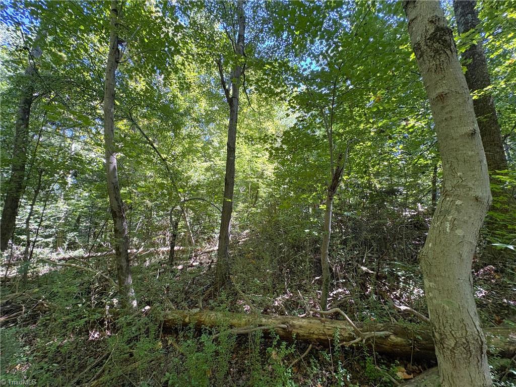 1193 Pleasant Ridge Road Colfax, NC 27235 - Photo 15 of 35