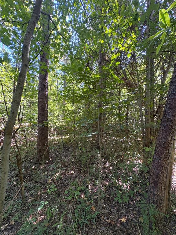 1193 Pleasant Ridge Road Colfax, NC 27235 - Photo 16 of 35