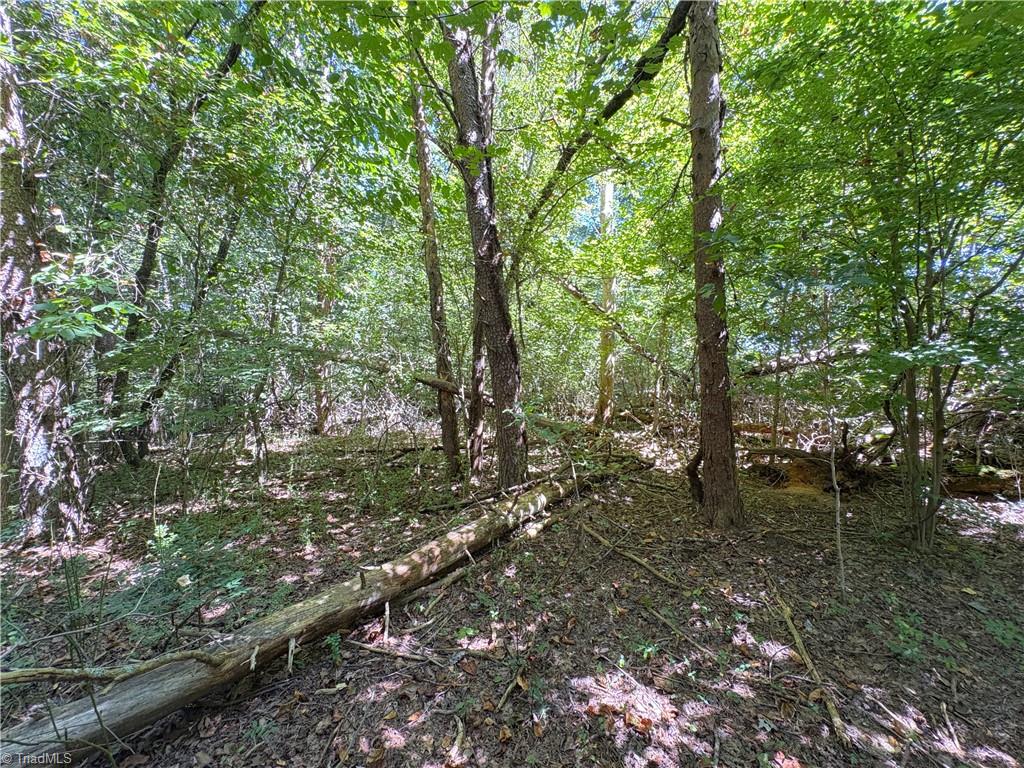 1193 Pleasant Ridge Road Colfax, NC 27235 - Photo 17 of 35