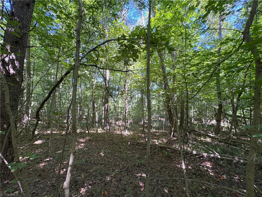 1193 Pleasant Ridge Road Colfax, NC 27235 - Photo 18 of 35