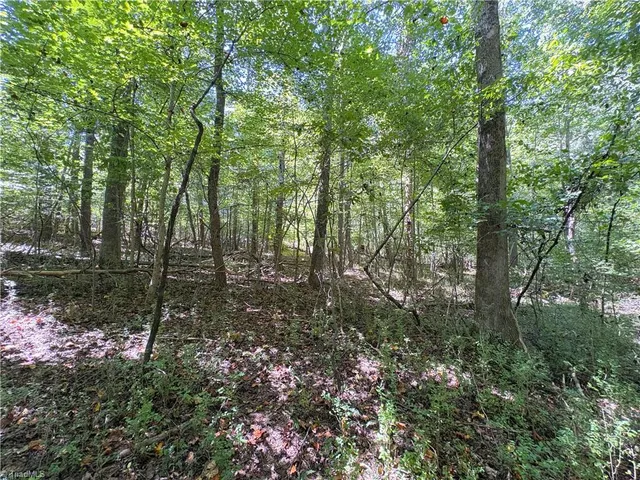 $279,900 | 1193 Pleasant Ridge Road, Colfax, NC 27235