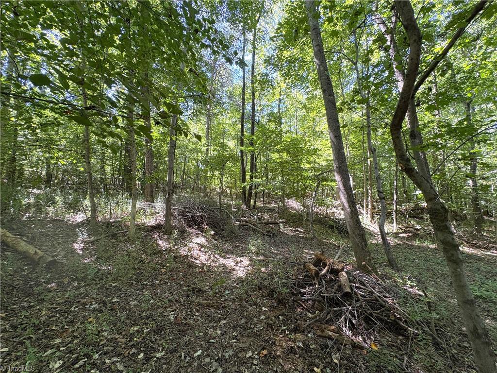 1193 Pleasant Ridge Road Colfax, NC 27235 - Photo 20 of 35